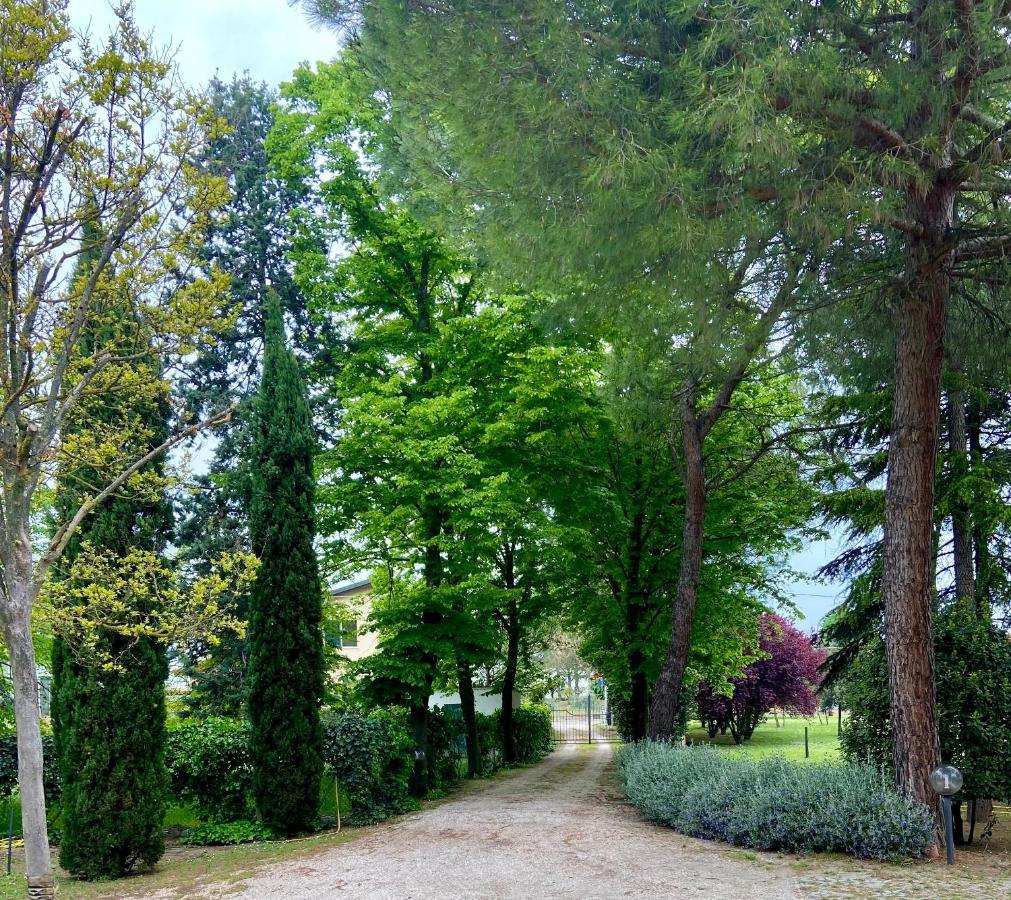 Casale Del Fattore Τσεζένα Εξωτερικό φωτογραφία